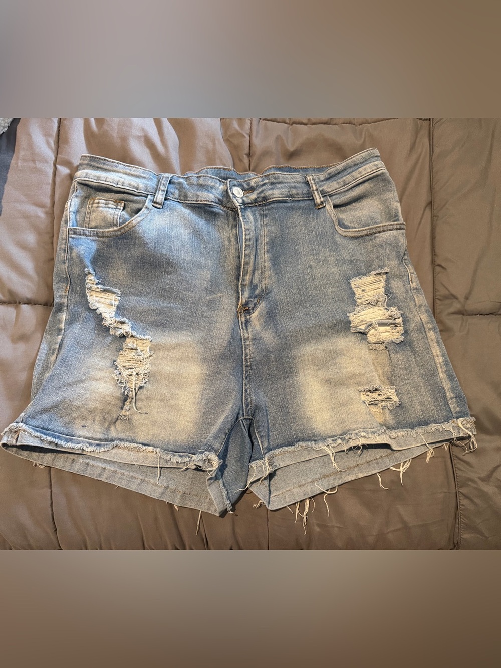 SHEIN Light Blue Distressed High Rise Denim Shorts 2X